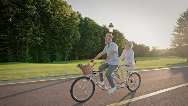 Happy aged couple relaxing and riding double bicycle