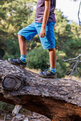 Close-up child's feet walk along the log of a fallen tree. a child in sneakers walks on a fallen tree. camping in the woods.