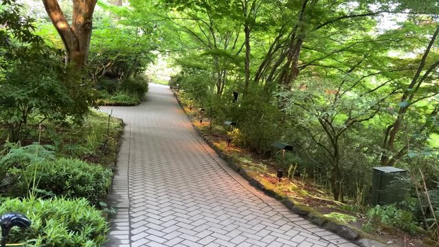 Victoria British Columbia, Canada 2023 National Historic Site of Canada, the Butchart Gardens, with tourists looking at the sights walking around paths in the Sunken Gardens. High quality 4k footage