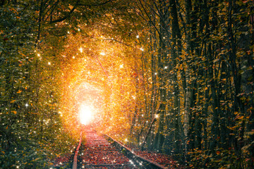 Fairy Sparkle place - Autumn Trees Tunnel with old railway - Tunnel of Love. Mystical tunnel of love formed by trees. Mystery autumnal landscape.