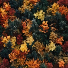 Fototapeta na wymiar Seamless. Top view of the autumn forest