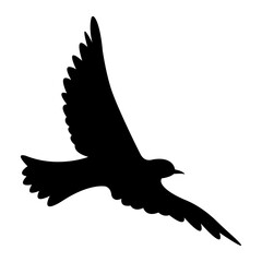 bird silhouette
