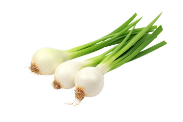 green onion isolated on white, PNG