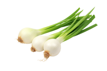 green onion isolated on white, PNG