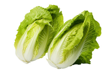fresh two green lettuce on a transparent background, PNG
