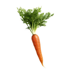 carrot isolated on a transparent background, PNG