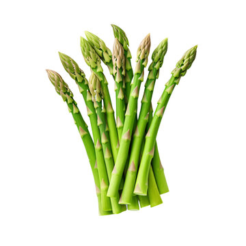 asparagus isolated on a transparent background, PNG