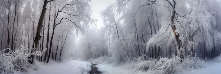 wintry snowy forest path