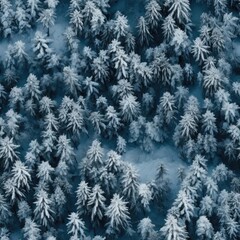 Seamless texture of winter forest