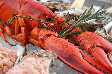 Red lobster on ice, with scallops, shrimps and mussels,