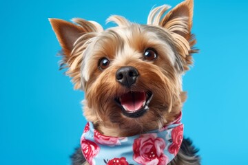 Lifestyle portrait photography of a funny yorkshire terrier wearing a bandana against a sky-blue background. With generative AI technology