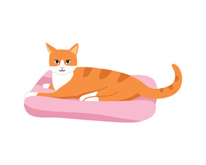 red cat lies on a cat litter