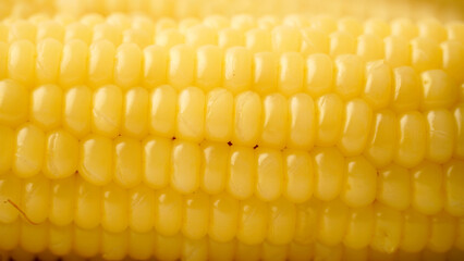 A close-up of corn