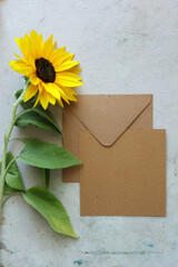 a brown envelope with a blank message card and a bright yellow sunflower 