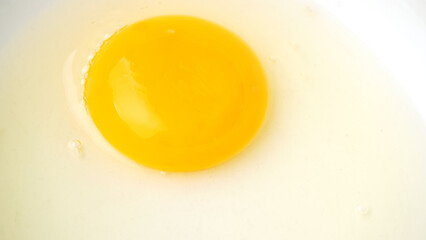 A Fresh Raw Egg
