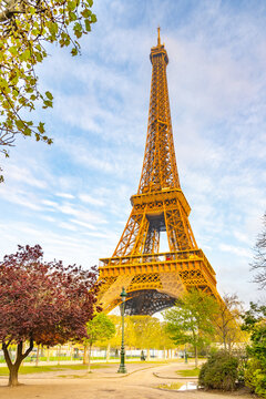 Sunny morning in the park at Eiffel Tower, Paris, France