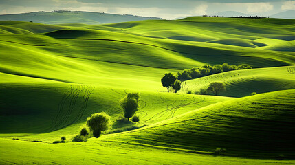 Green toscana hills, beautiful Italy landscape - obrazy, fototapety, plakaty