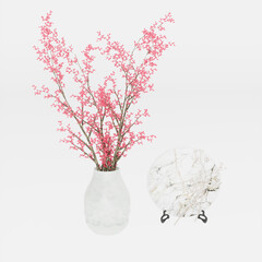 Cherry blossom in a vase isolated on white background