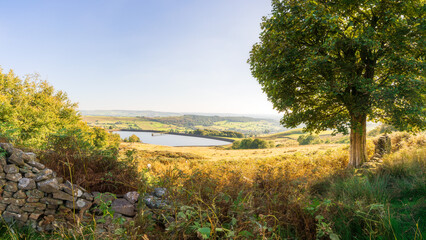 English Summer Landscape Panoramic Photo with lake and woodland