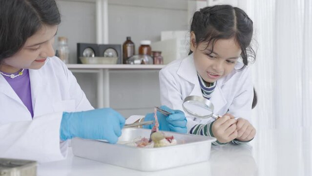 Young female science teacher and cute Indian girl dissecting a frog in a biology lab.
