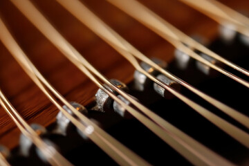 Intricate Melodies: Capturing the Fine Details and Textures of Guitar Strings in Macro Photography