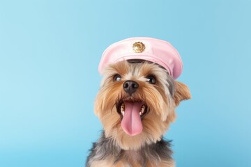 Medium shot portrait photography of a happy yorkshire terrier wearing a visor against a pastel or soft colors background. With generative AI technology