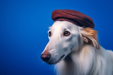 Medium shot portrait photography of a happy borzoi wearing a beret against a royal blue background. With generative AI technology