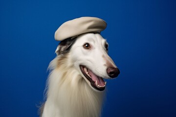 Medium shot portrait photography of a happy borzoi wearing a beret against a royal blue background. With generative AI technology