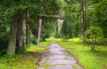 long straight sidewalk in beautiful amazing green park