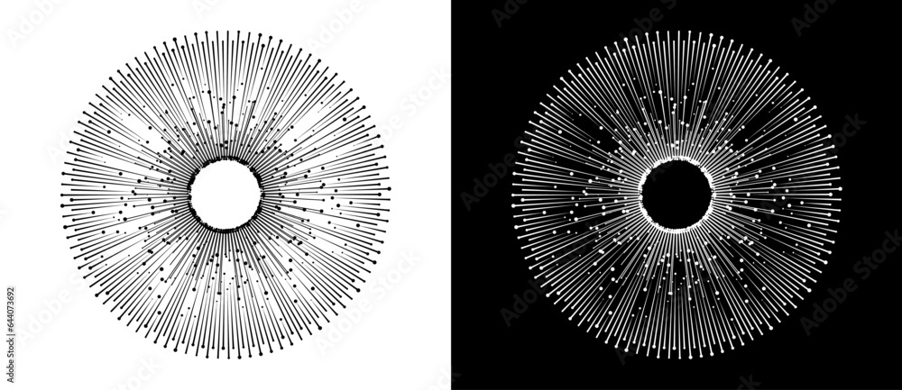 Fototapete abstract background with lines and dots in circle. art design big data concept. black lines on a whi