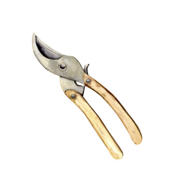 recommend clip art: watercolor garden pruner