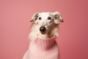 Group portrait photography of a smiling borzoi wearing a cashmere sweater against a peachy pink background. With generative AI technology