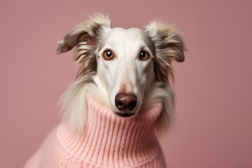 Obraz na płótnie Canvas Group portrait photography of a smiling borzoi wearing a cashmere sweater against a peachy pink background. With generative AI technology