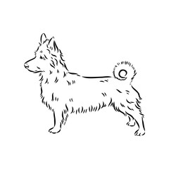 Decorative outline portrait of Dog Australian Terrier, vector