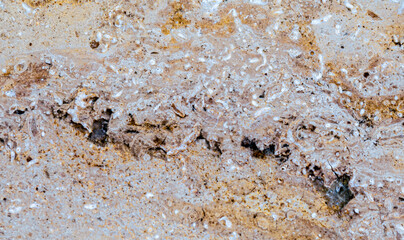 Makroaufnahme eines beigen Granits