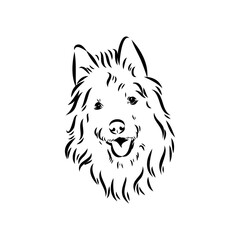 Decorative outline portrait of Dog Australian Terrier, vector