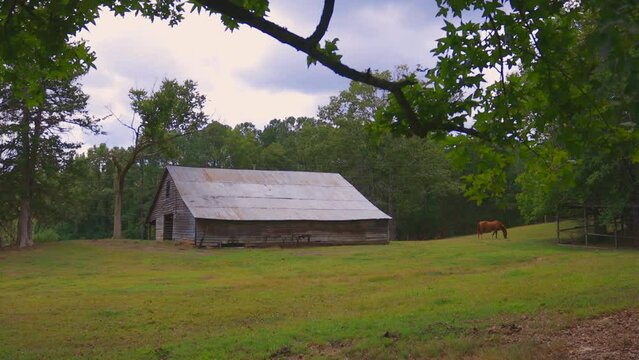 Country barn with horse and wind in trees.