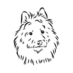 Decorative outline portrait of Dog Australian Terrier, vector