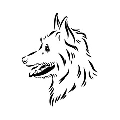 Decorative outline portrait of Dog Australian Terrier, vector