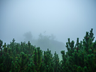 foggy mountain hiking trail in cold autumn