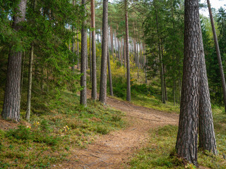 golden autumn hiking nature trail - 644088047