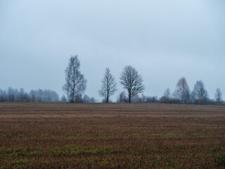 Obraz na płótnie Canvas moody naked autumn fields in countryside