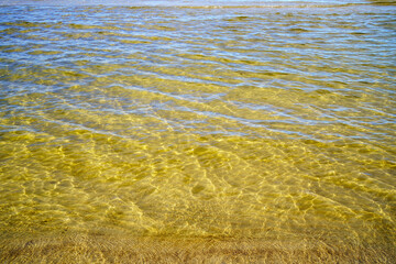 baltic sea side beach in sunny summer day