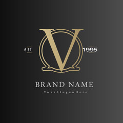 V letter logo