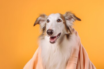 Close-up portrait photography of a smiling borzoi wearing a plush robe against a pastel orange background. With generative AI technology