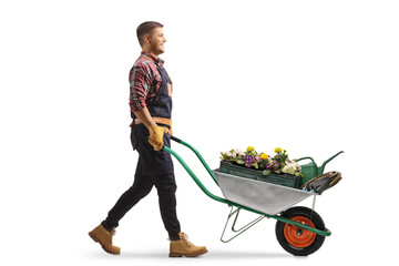 Full length profile shot of a gardener pushing a wheelbarrow with flowers and watering can
