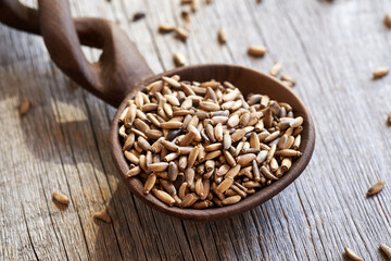 Milk thistle seeds on a spoon on a table