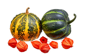 Two decorative pumpkins and fruits of physalis flowers isolated on white background