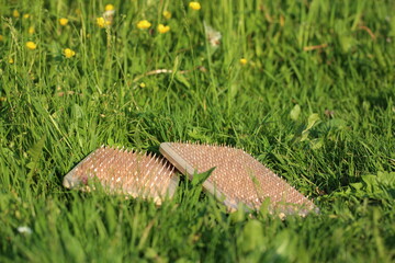 Meditation in nature. Two boards with sharp copper nails pointing uphill. Very nice shine from the nails. Boards with nails are on a spring meadow.