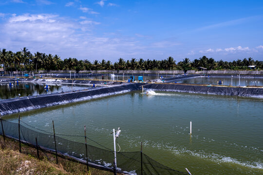 Landscape of shrimp farming with water turbines